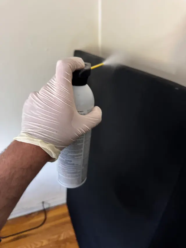 Nonstop Pest Control — photo from the business 9