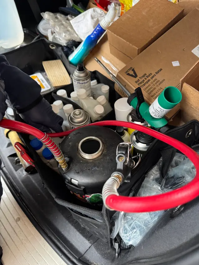 Nonstop Pest Control — photo from the business 4