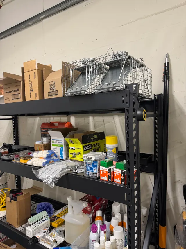 Nonstop Pest Control — photo from the business 5