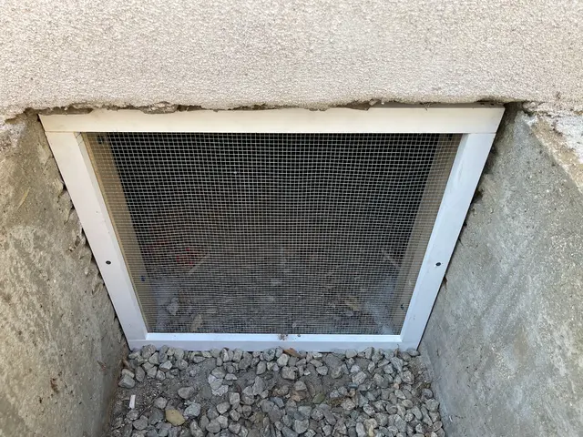 Traction Wildlife and Pest Control — photo from the business 9