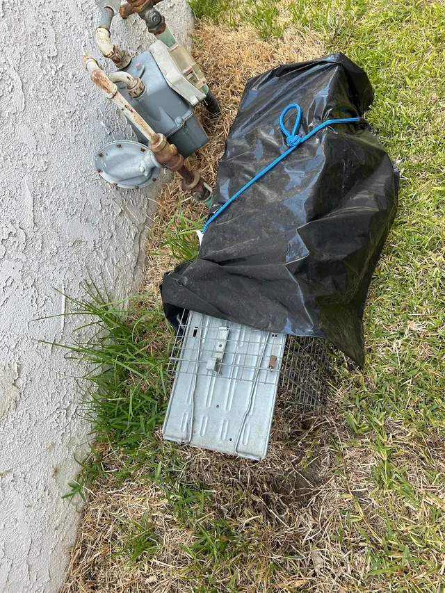 Traction Wildlife and Pest Control — customer photo 6
