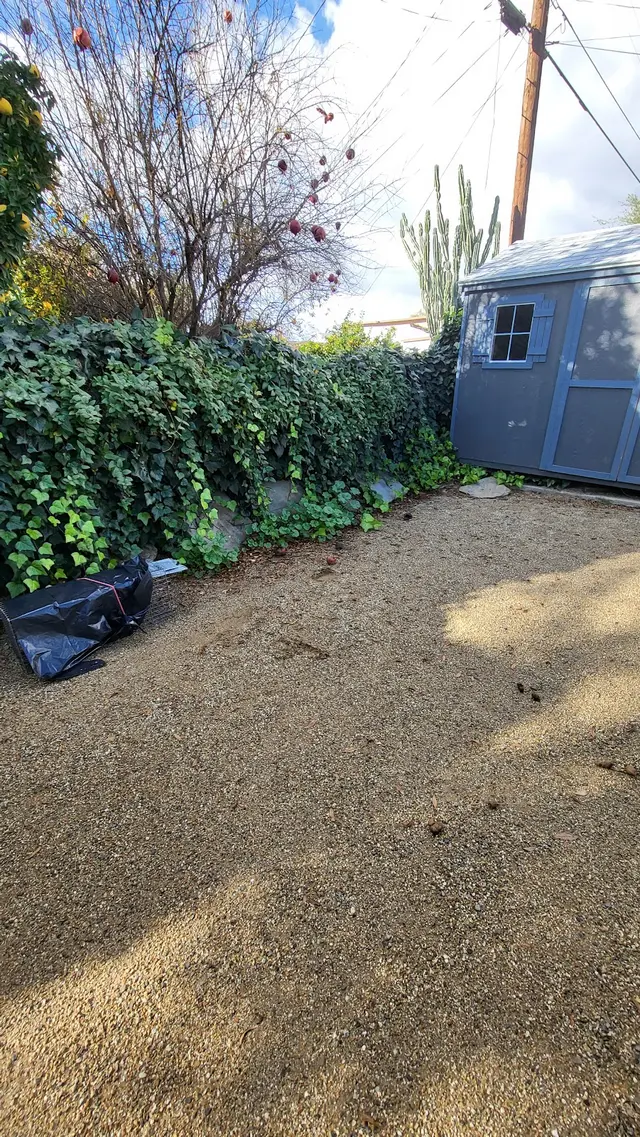 Traction Wildlife and Pest Control — customer photo 7