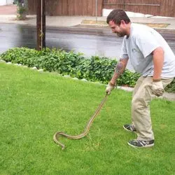 All City Animal Trapping — photo from the business 11