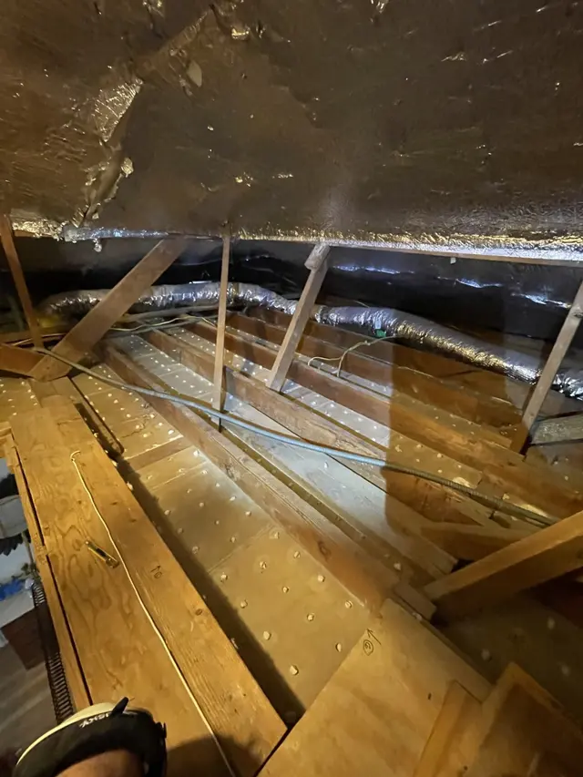 All City Animal Trapping — photo from the business 6