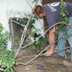 All City Animal Trapping — photo from the business 12