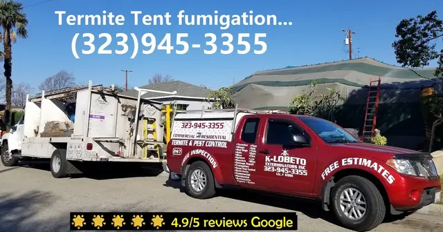 K-LOBETO EXTERMINATORS INC — photo from the business 8