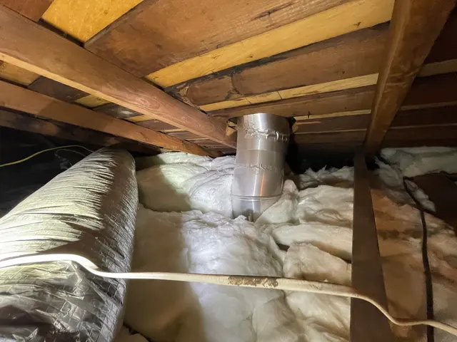 Wildlife Solutions And Trapping — photo from the business 2