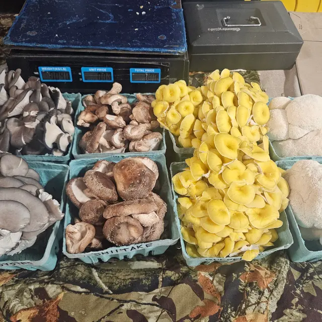 Philly Foodworks — customer photo 10
