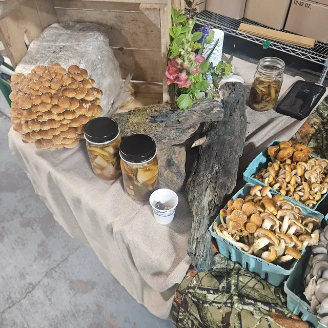 Philly Foodworks — customer photo 7
