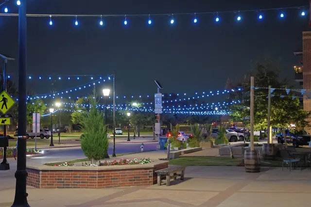 Glo Geeks Landscape Lighting Installation — photo from the business 8