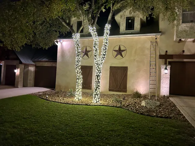 Diamond Christmas Lights Installers — photo from the business 12