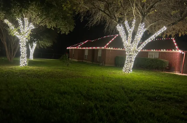 Diamond Christmas Lights Installers — photo from the business 6
