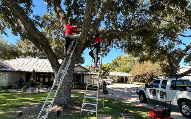 Diamond Christmas Lights Installers — photo from the business 10