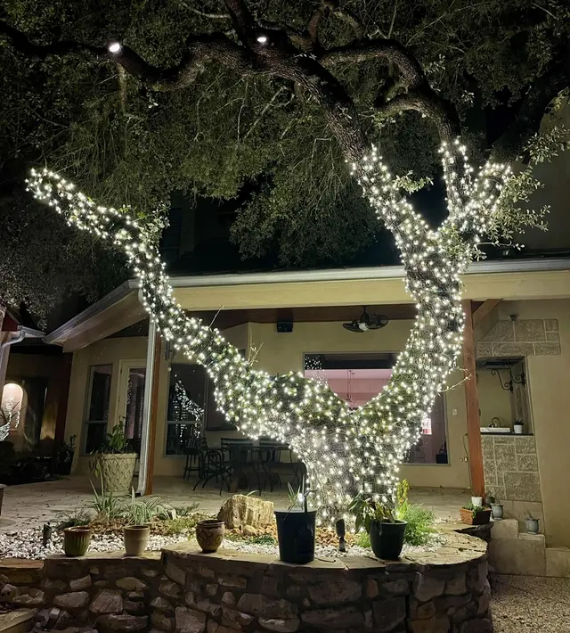 Diamond Christmas Lights Installers — photo from the business 9
