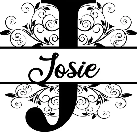 Josie's Income Tax & Notary LLC — photo from the business 10