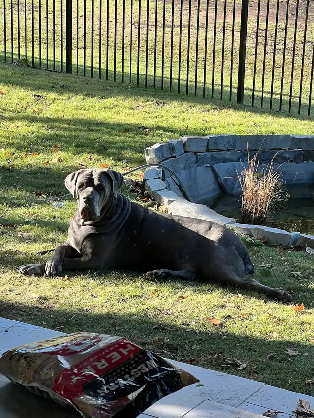 Steve Nichols Appraisal Services — customer photo 2