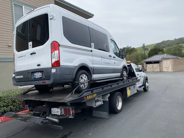 Hayward Elite Tow — photo from the business 6