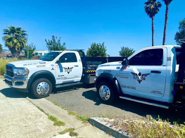 Hayward Elite Tow — photo from the business 4