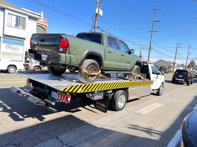 Hayward Elite Tow — photo from the business 5