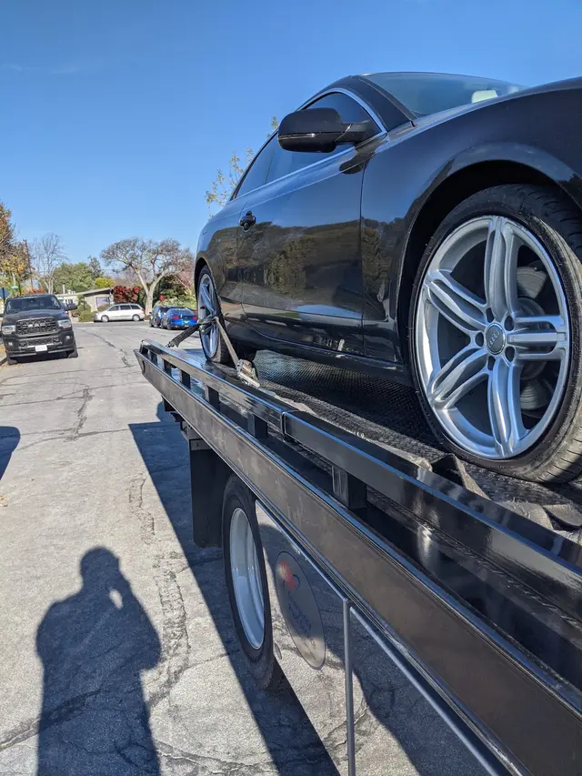 Hayward Elite Tow — customer photo 11