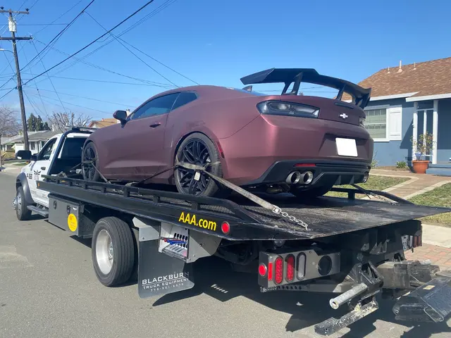 Hayward Elite Tow — customer photo 7