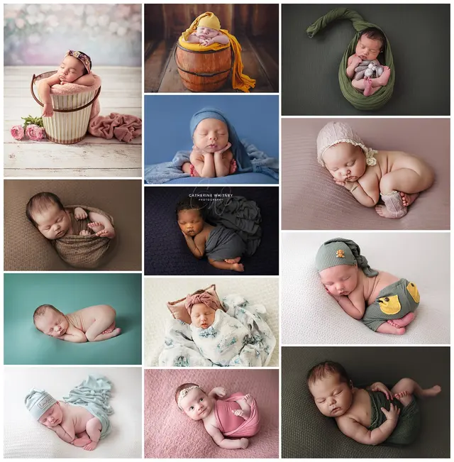 Catherine Whitney Photography, LLC — photo from the business 1
