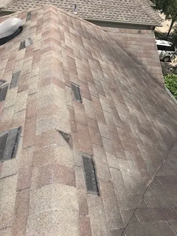 Customer photo from Brenda's review