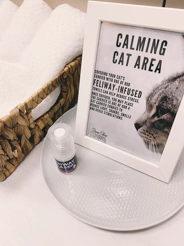Piper Glen Animal Hospital — photo from the business 10