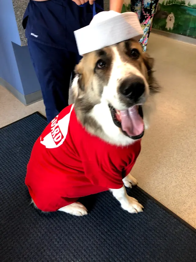 Independence Veterinary Clinic — photo from the business 12