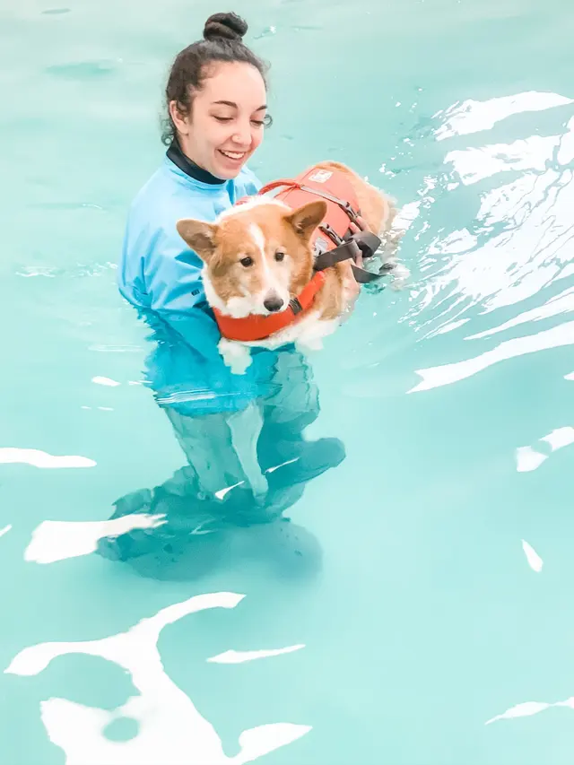 Independence Veterinary Clinic — photo from the business 5