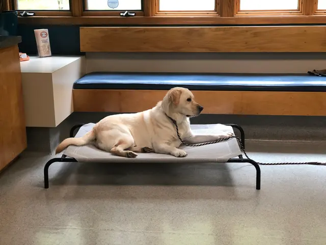 Independence Veterinary Clinic — photo from the business 4