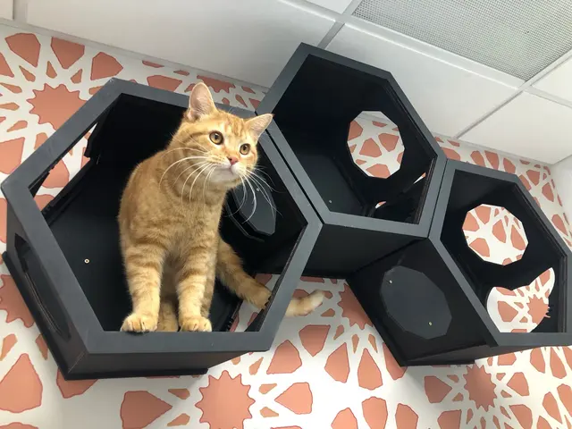 Independence Veterinary Clinic — photo from the business 6