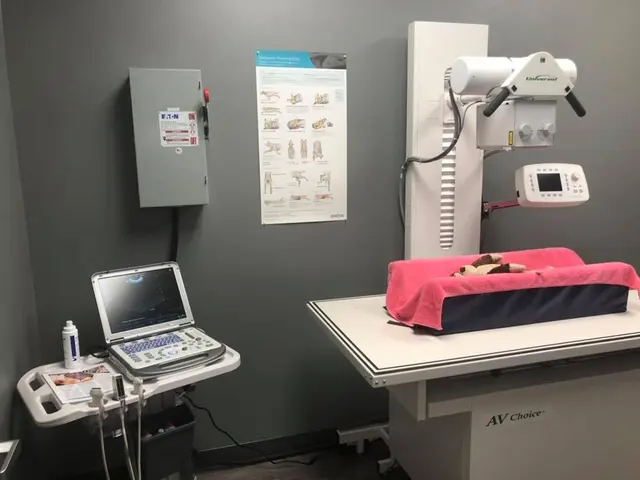 Queen City Animal Hospital — photo from the business 3