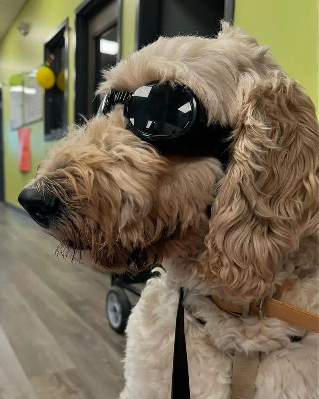 Queen City Animal Hospital — photo from the business 5