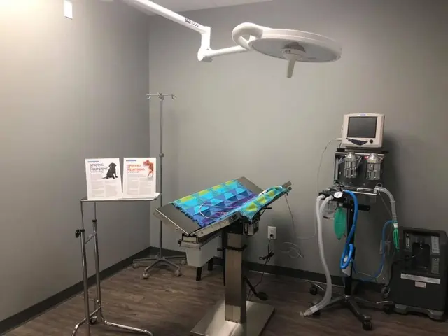 Queen City Animal Hospital — photo from the business 8