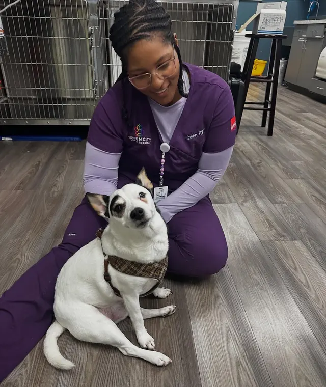Queen City Animal Hospital — photo from the business 12