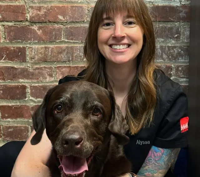 Queen City Animal Hospital — photo from the business 7