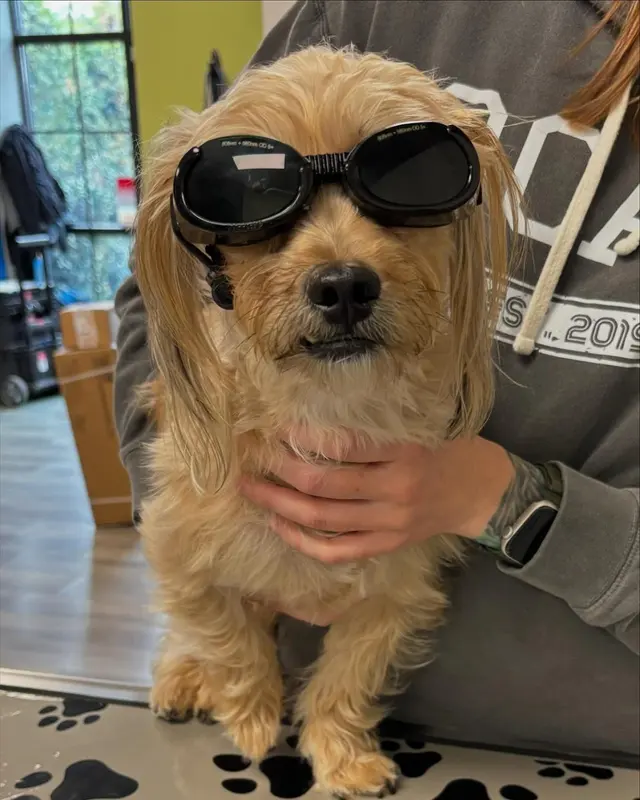Queen City Animal Hospital — photo from the business 1