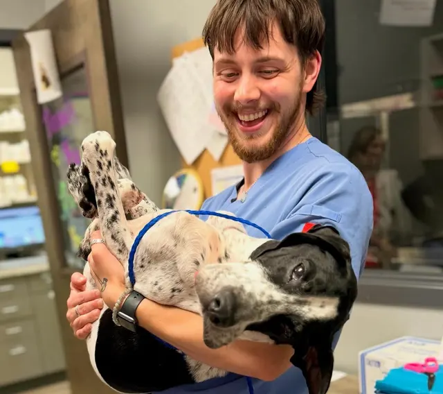 Queen City Animal Hospital — photo from the business 2