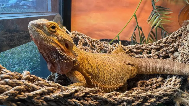 Queen City Animal Hospital — photo from the business 6