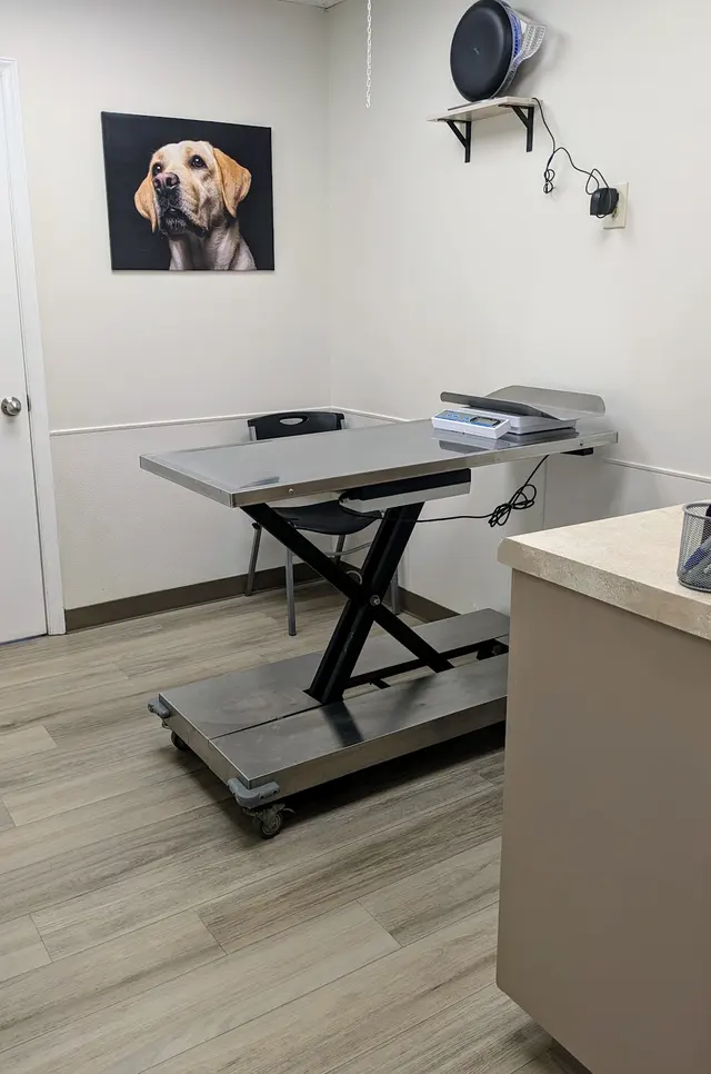 Hickory Grove Animal Hospital — photo from the business 1