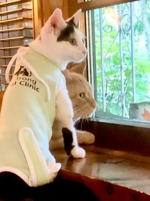 Armstrong Animal Clinic — photo from the business 5