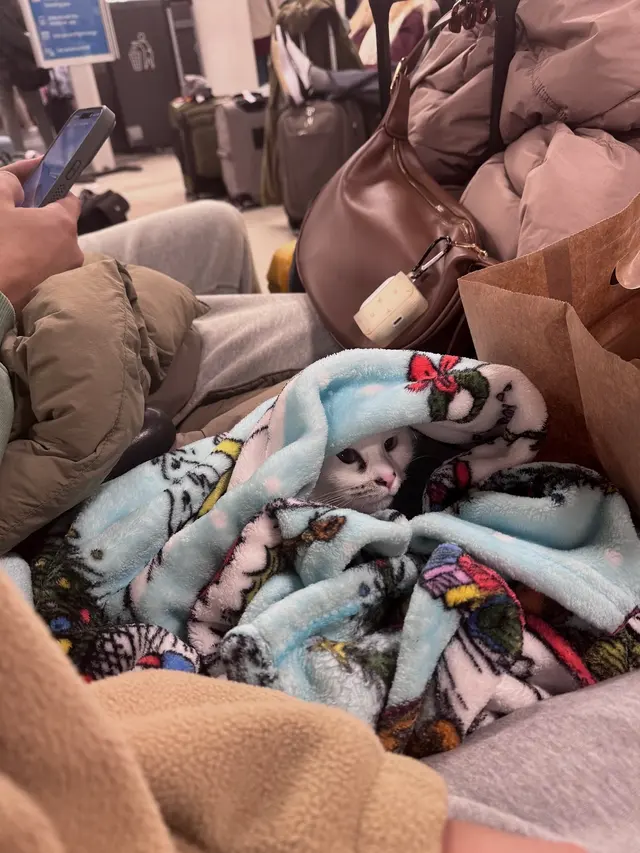 Armstrong Animal Clinic — customer photo 12