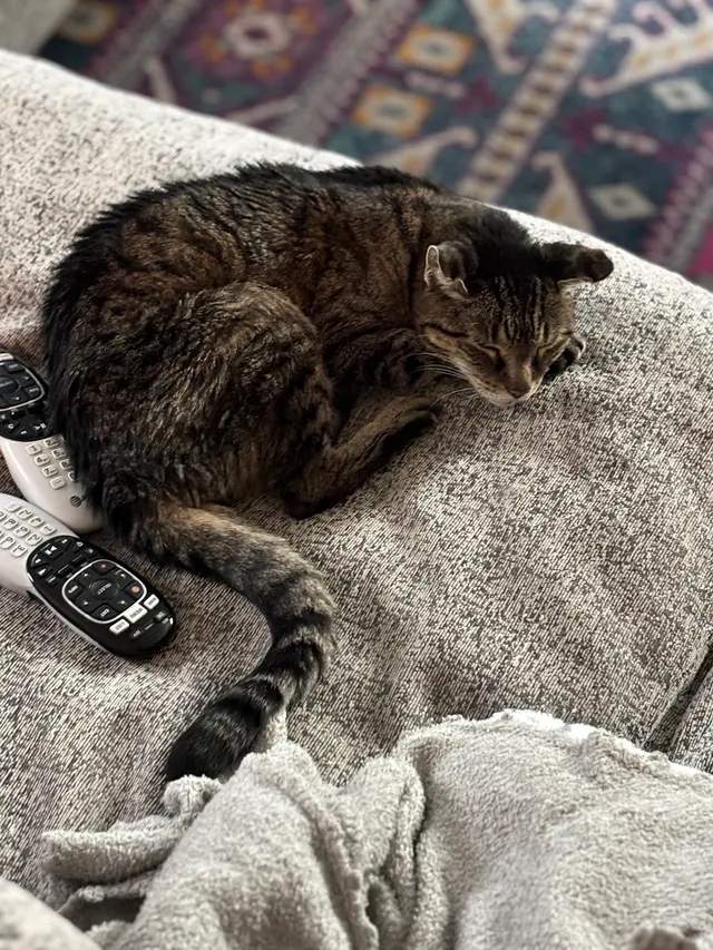 Archdale Animal Hospital — customer photo 6