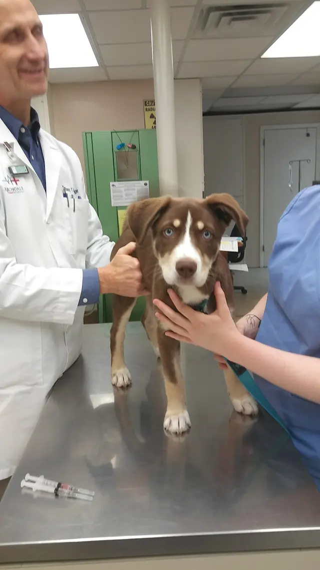 Archdale Animal Hospital — customer photo 4