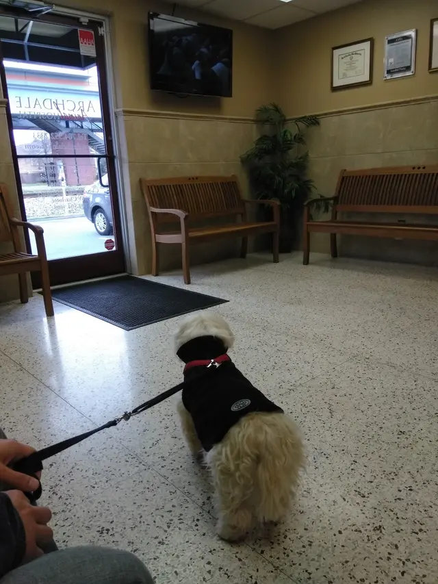 Archdale Animal Hospital — customer photo 2