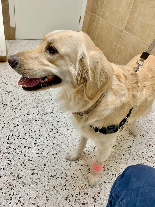 Archdale Animal Hospital — customer photo 3