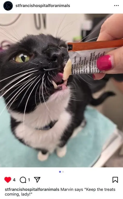 Pineville Animal Clinic — customer photo 1