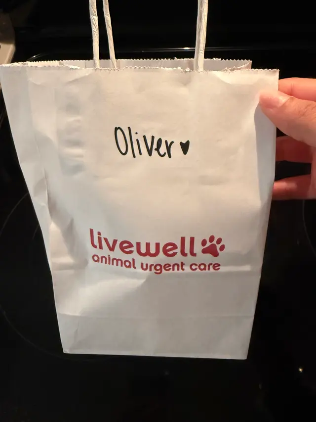 Livewell Animal Urgent Care of South End — customer photo 12
