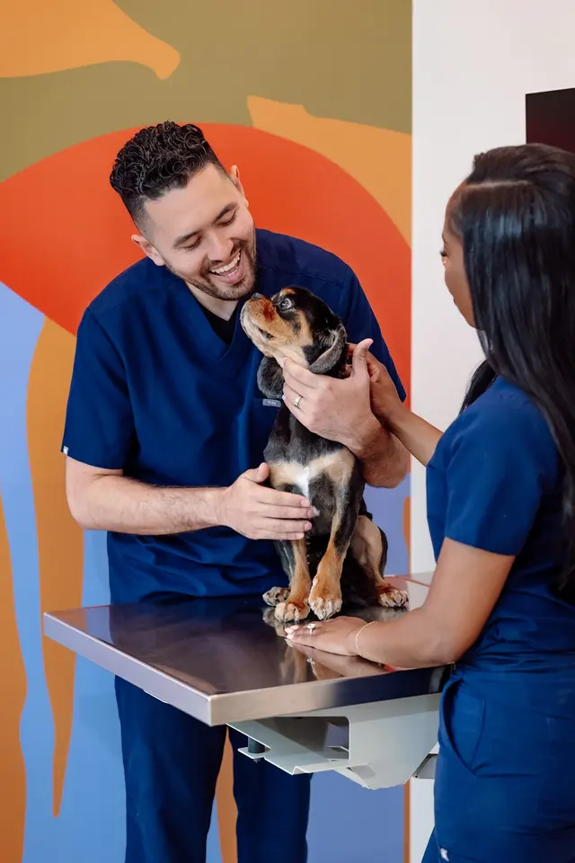Petfolk Veterinary & Urgent Care - Concord — photo from the business 10